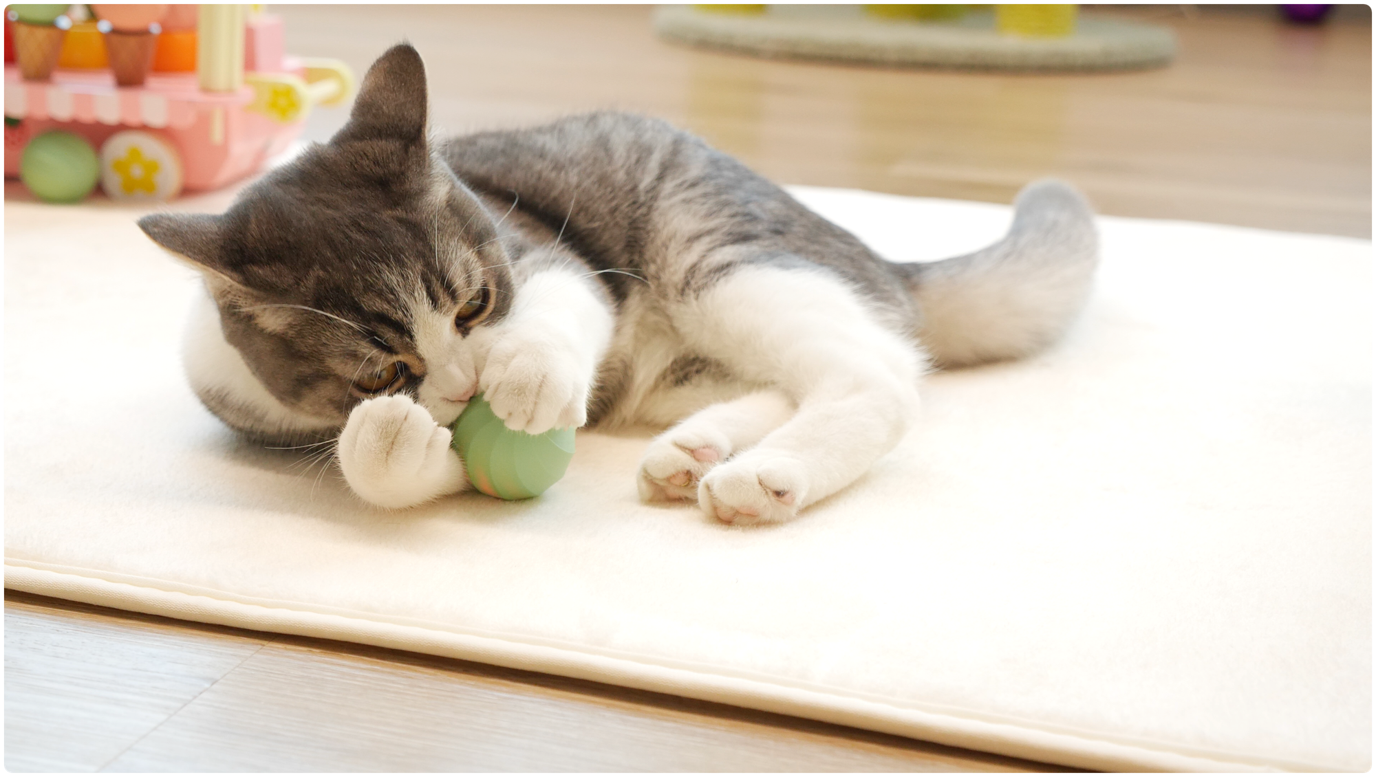 Cheerble Ice Cream интерактивная игрушка мячик для кошки и котят, развивающая игрушка для кота, умный шарик, USB зарядка - фотография № 10