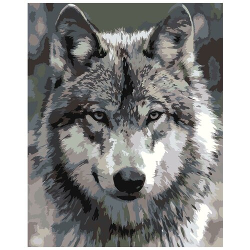 девочка и белый волк раскраска картина по номерам на холсте Серый волк Раскраска картина по номерам на холсте