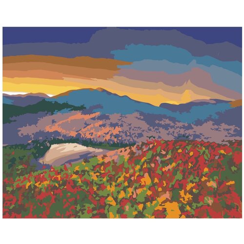 Горы и цветочный луг на закате Раскраска картина по номерам на холсте