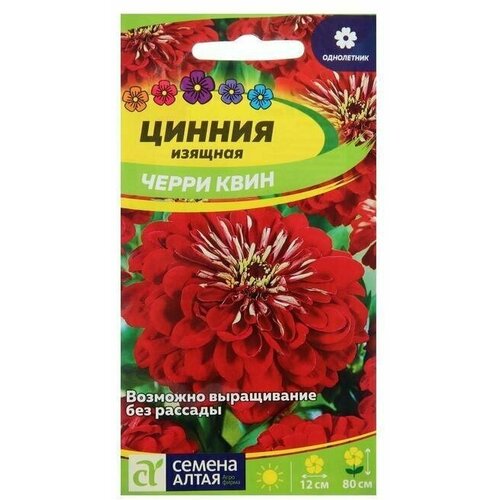 Семена цветов Цинния Черри Квин, георгиноцветковая 0,3 г 8 упаковок