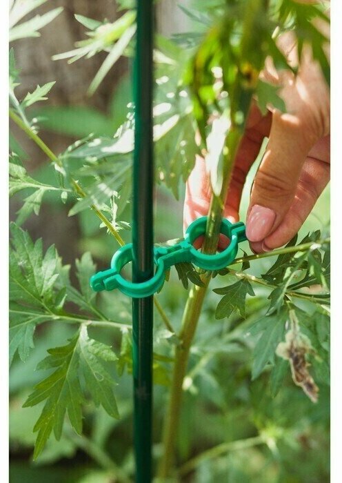 Кольцо-фиксатор для растений, диаметр 20 мм, набор 20 шт, зелёный