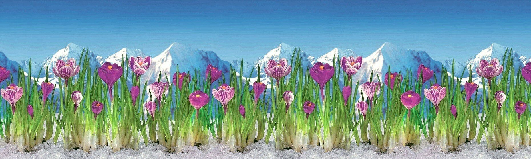 Кухонный фартук "Альпийская весна" 2000*600*1,5 мм, АБС пластик, термоперевод