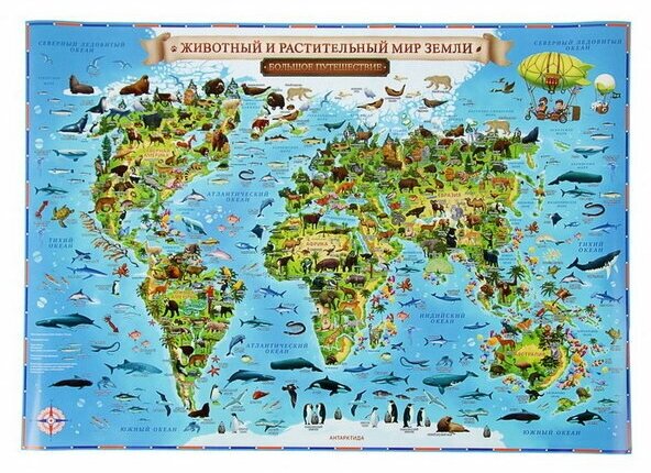 Географическая карта Мира для детей "Животный и растительный мир Земли", 60 x 40 см, без ламинации