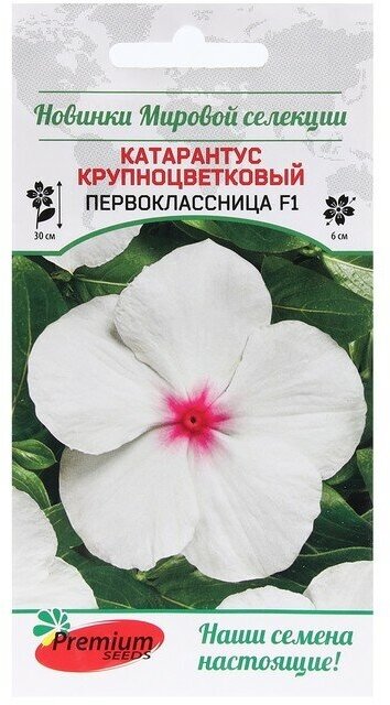 Premium seeds Семена Цветов Катарантус крупноцветковый "Первоклассница F1", 5 шт.