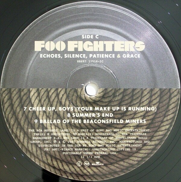 Foo Fighters Foo Fighters - Echoes, Silence, Patience Grace (2 LP) Sony Music - фото №8