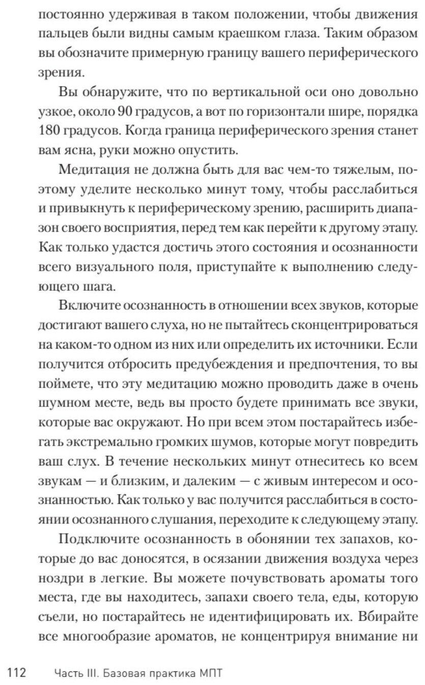 Японский секрет спокойствия (Хайт Ричард Л.) - фото №2