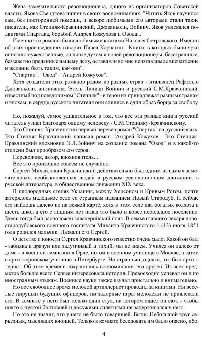 Книга Андрей Кожухов (Степняк-Кравчинский Сергей Михайлович) - фото №4