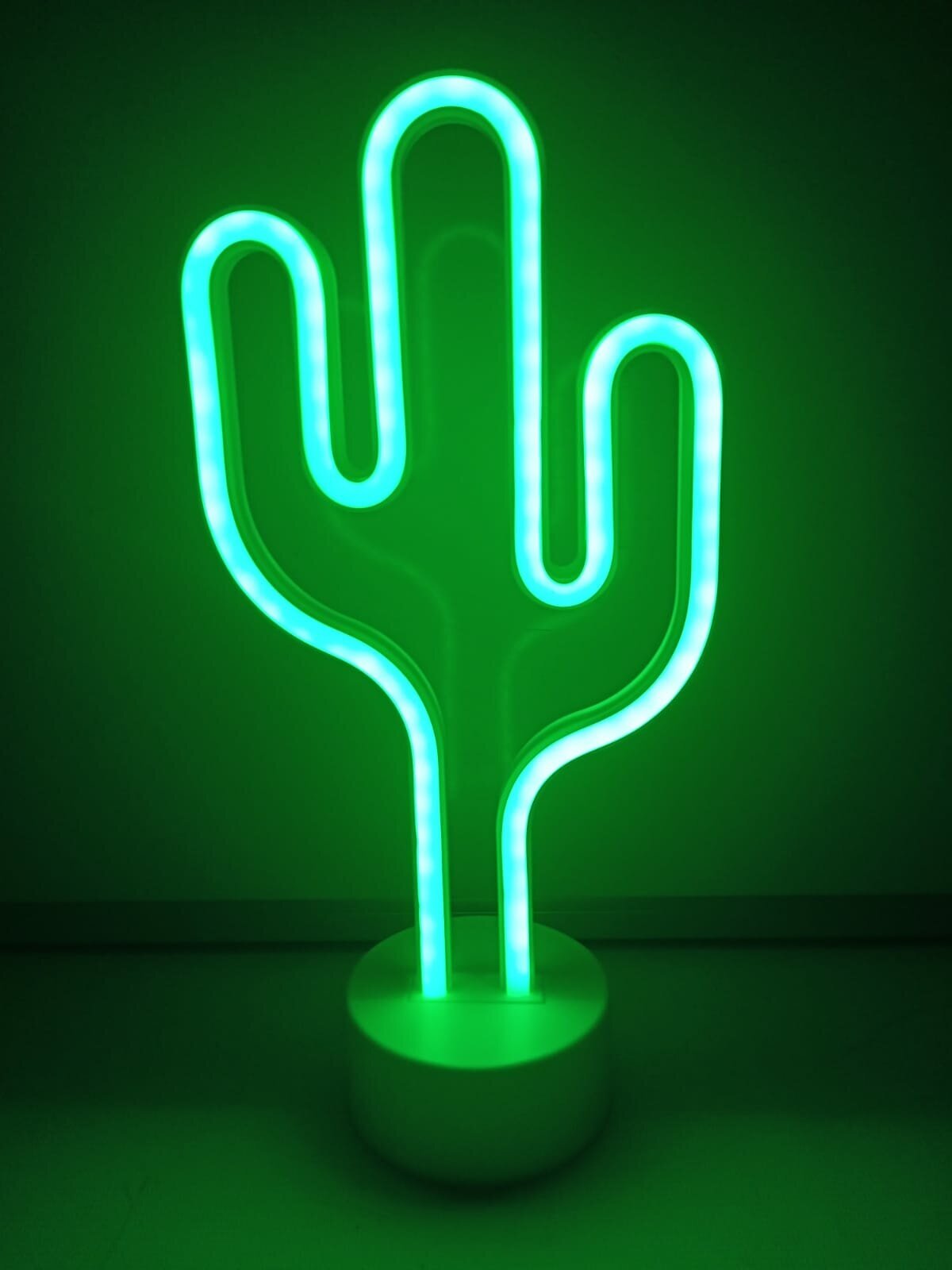 Старт LED neon кактус