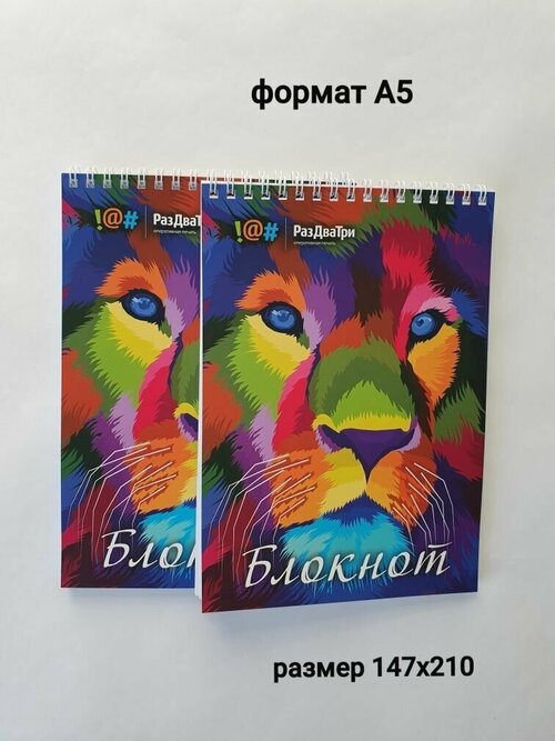 Блокнот в клетку, блокнот в линейку набор по 40 листов, А5 спираль Цветной Лев 2 шт.