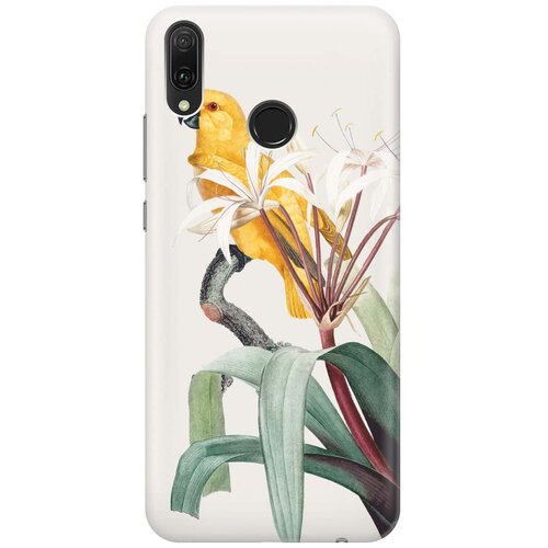 фото Re:pa накладка transparent для huawei y9 (2019) с принтом "желтый попугай"