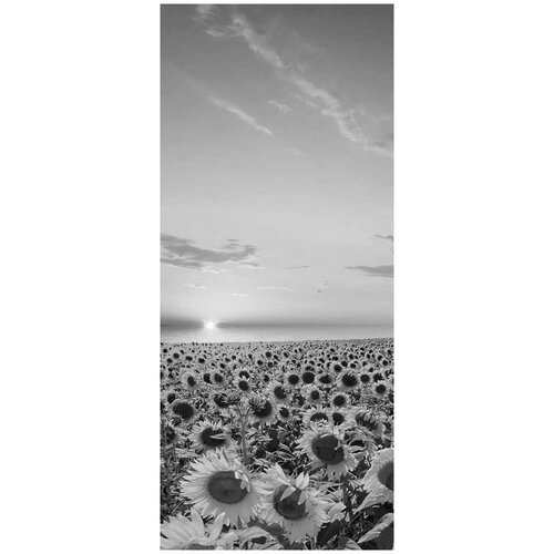 Самоклеящиеся фотообои Поле подсолнухов, размер: 90x210 см, эффект: черно-белый