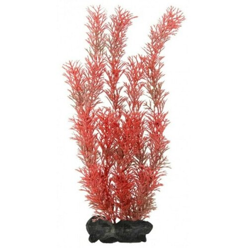 Растение аквариумное с утяжелителем Tetra Red Foxtail 3, 30 см растение для аквариума red ludvigia 3 l 30 см с утяжелителем