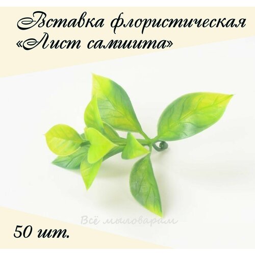 Вставка флористическая Лист Лист самшита 50шт.