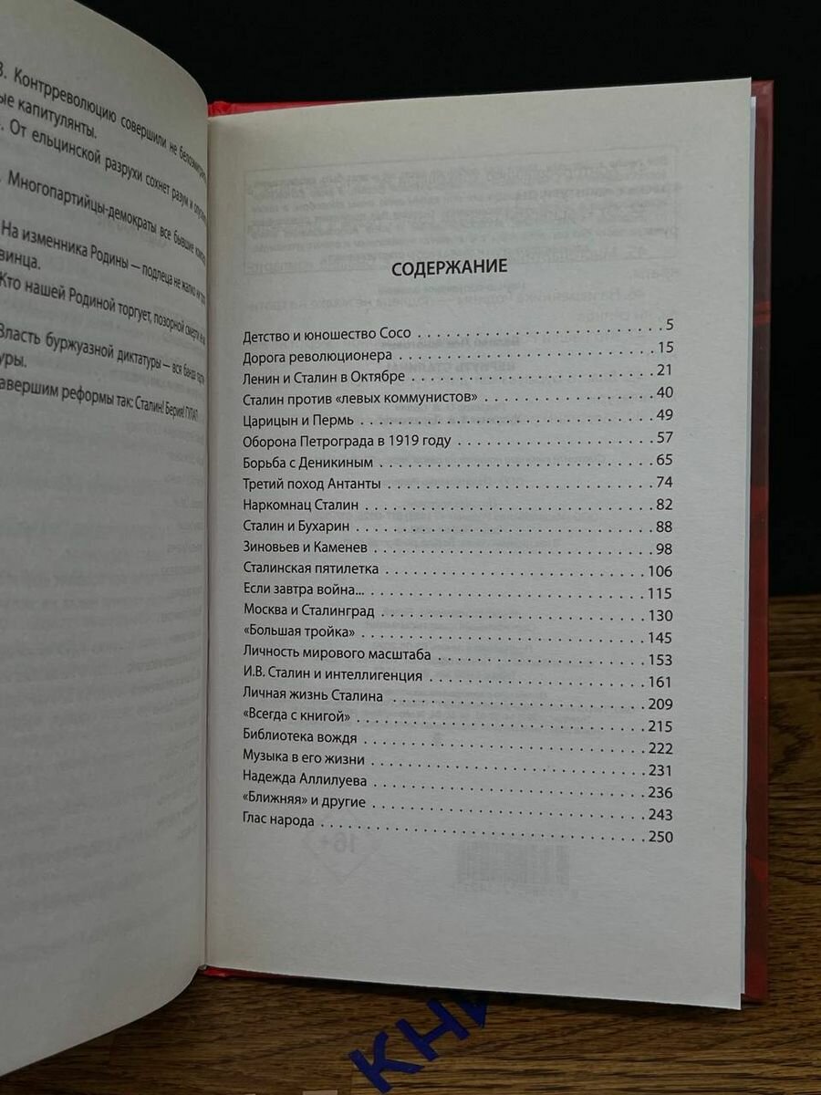 Вернуть Сталина! (Балаян Лев Ашотович) - фото №16