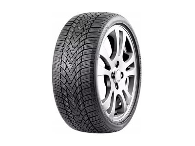 Roadmarch WINTERXPRO 888 225/65 R16 T100