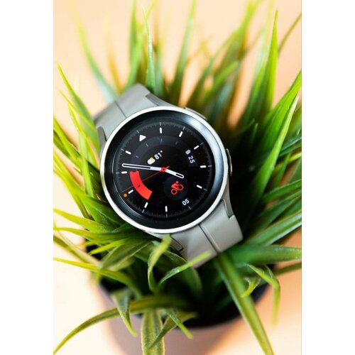 Умные часы Samsung Galaxy Watch 5 Pro 45mm SM-R920 grey 24127₽