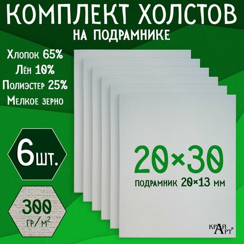 Холст на подрамнике для творчества, 20х30 см (6 шт.), грунтованный, мелкое зерно, для работы масляными, акриловыми и темперными красками