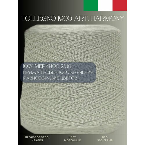 100% Меринос Пряжа из Италии Tollegno 1900 Harmony Молочный