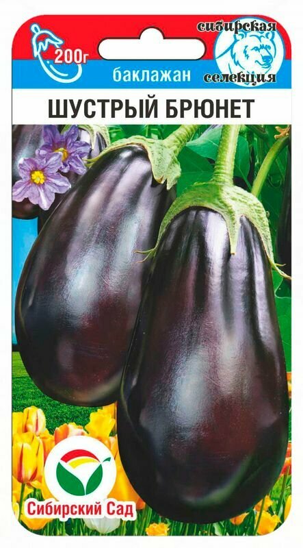 Баклажан Шустрый брюнет ( 3 упаковки) семена
