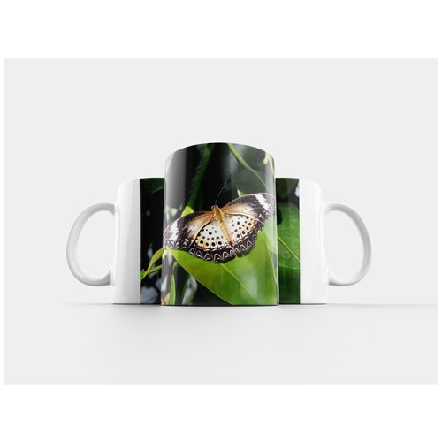 фото Кружка "бабочка, природа, закрывать" 320 мл lotsprints