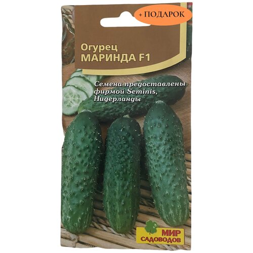 Огурец Маринда F1 10шт