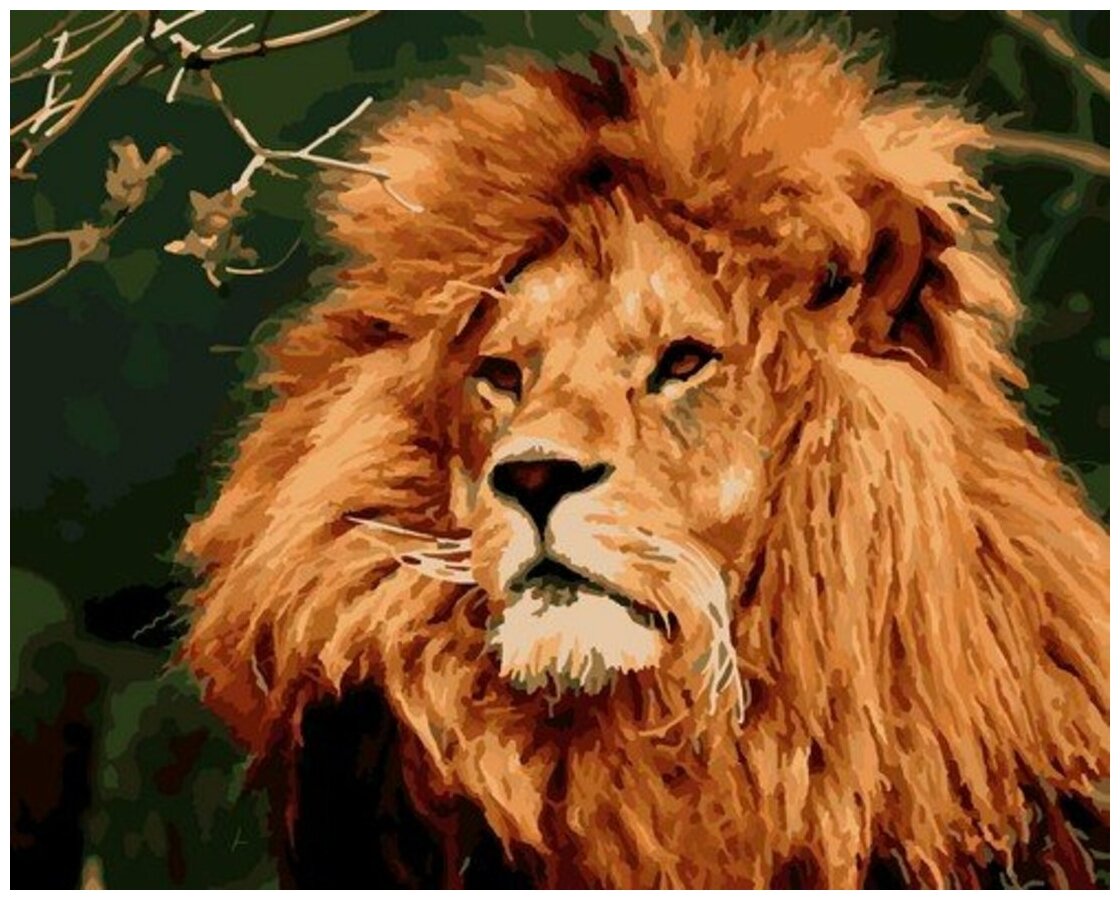 Картина по номерам LORI "Царь зверей", 40х50 см, акриловые краски, вспомогательный лист, лак Кпн-243