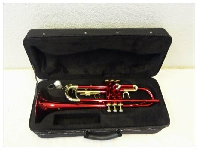 Труба Roy Benson TR-101R Bb — фото 1