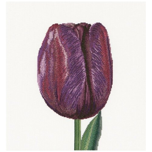 Набор для вышивания Thea Gouverneur 514 Фиолетовый Тюльпан Триумф