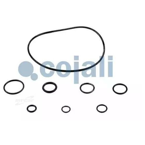 6034026 COJALI Ремкомплект ПГУ сцепления