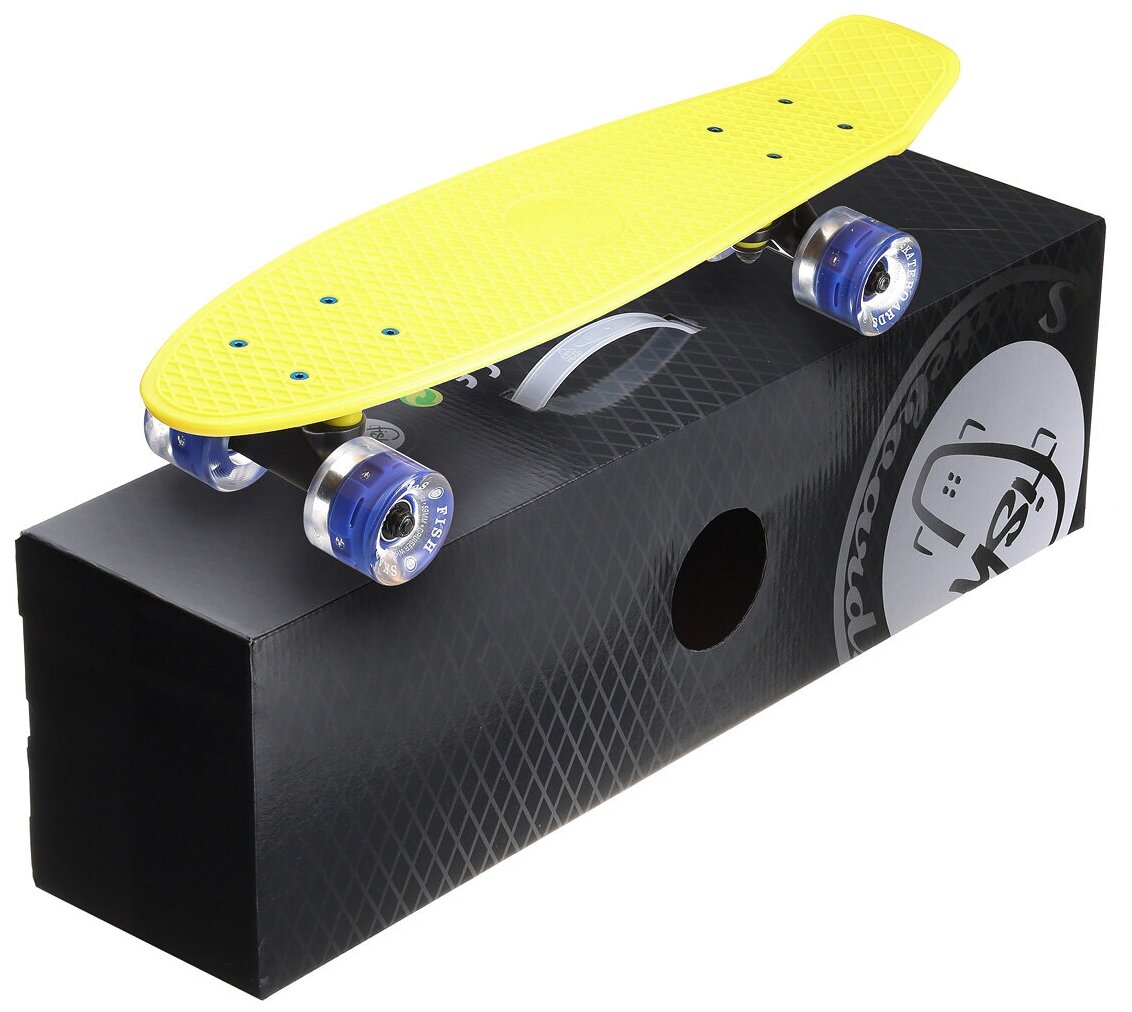   Fish Skateboards 22"  LED