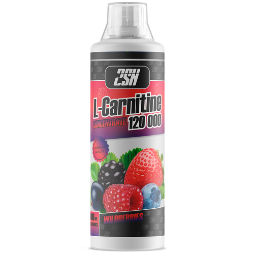 2SN L-carnitine 1000ml (Лесная ягода) 2sn l carnitine 500ml лимон лайм