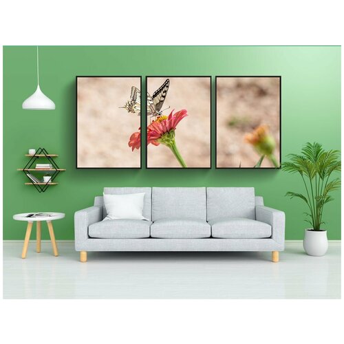 фото Набор модулных постеров для интерьера "бабочка, цветок, опылять" 60x90 см. в тубусе, без рамки lotsprints