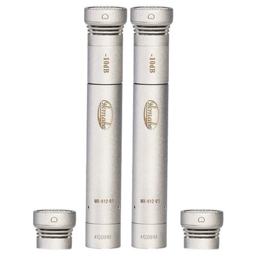 Микрофон студийный конденсаторный Октава МК-012-02 стереопара никель в картонной коробке 8942900₽