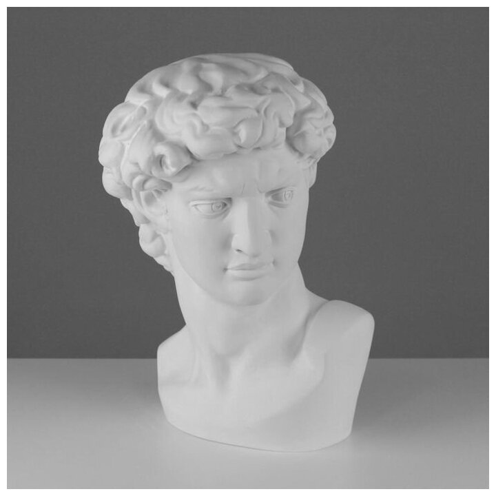Гипсовая фигура Давида Микеланджело 30 х 28 х 46 см