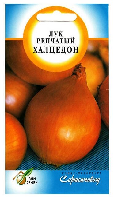 Семена Лук репчатый Халцедон 130шт для дачи, сада, огорода, теплицы / рассады в домашних условиях