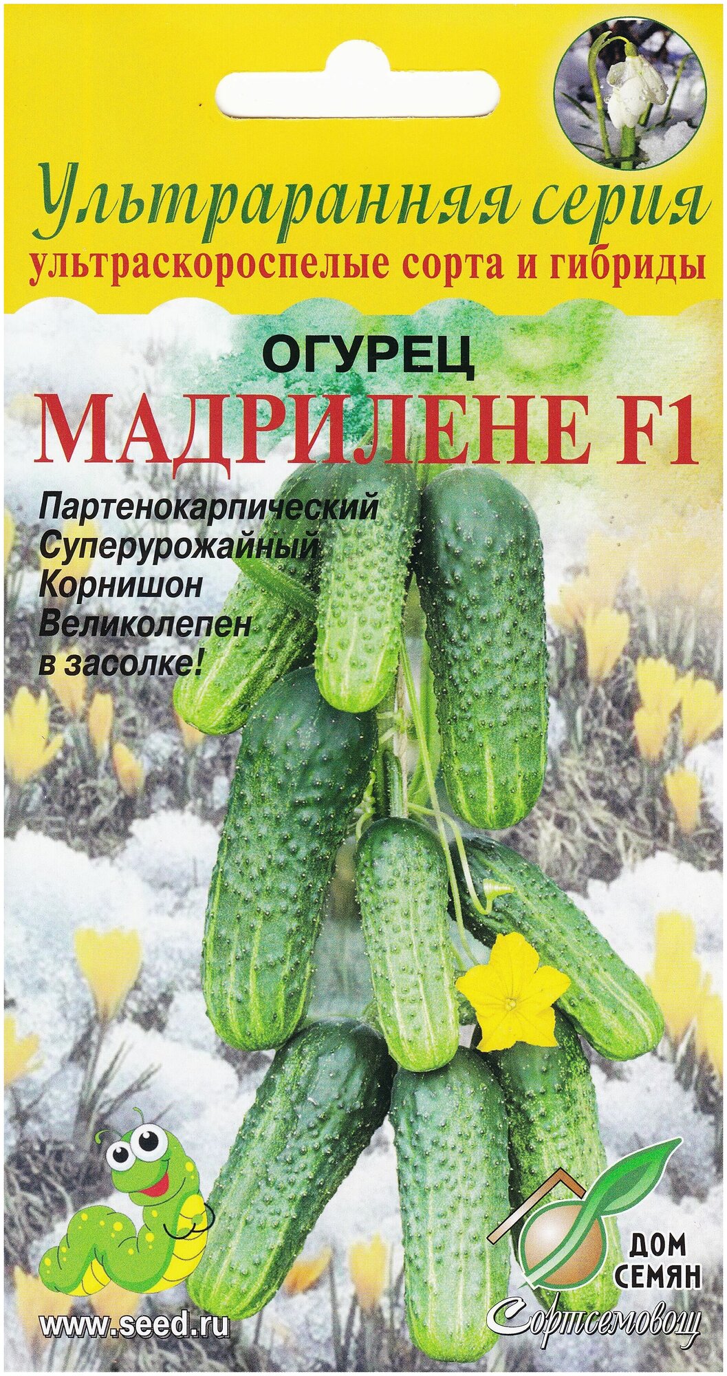 Огурец Мадрилене F1 6 семян