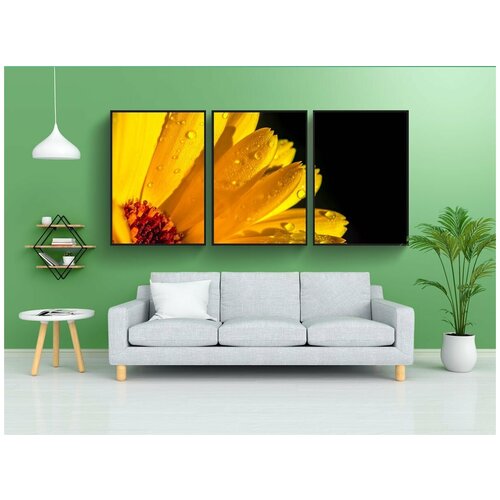 фото Набор модулных постеров для интерьера "ноготки, календула, апельсин" 60x90 см. в тубусе, без рамки lotsprints