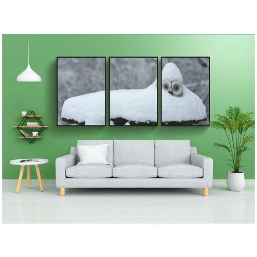 фото Набор модулных постеров для интерьера "снег, сова, зима" 60x90 см. в тубусе, без рамки lotsprints