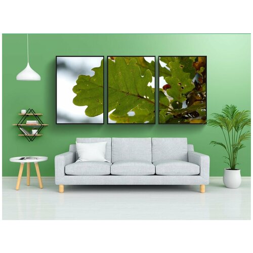 фото Набор модулных постеров для интерьера "дубовый лист, дуб, лист" 60x90 см. в тубусе, без рамки lotsprints