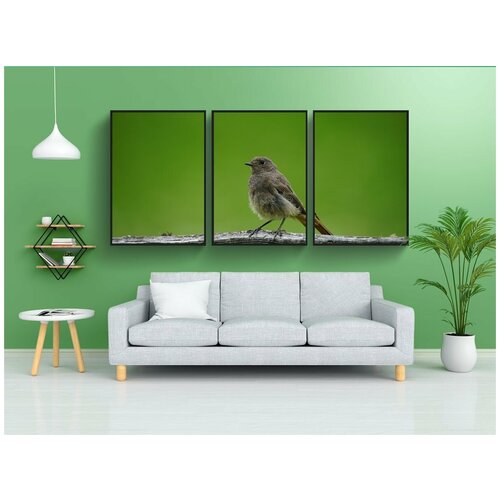 фото Набор модулных постеров для интерьера "птица, я пройду, летучие" 60x90 см. в тубусе, без рамки lotsprints