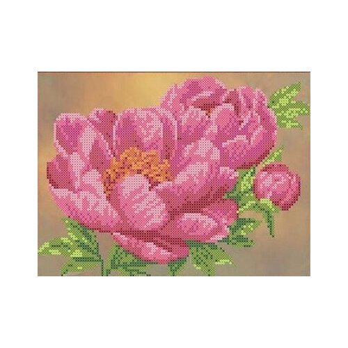 фото Набор пионы канва с рисунком 15х21 каролинка кткн 111 (р) 15х21 каролинка кткн 111 (р))