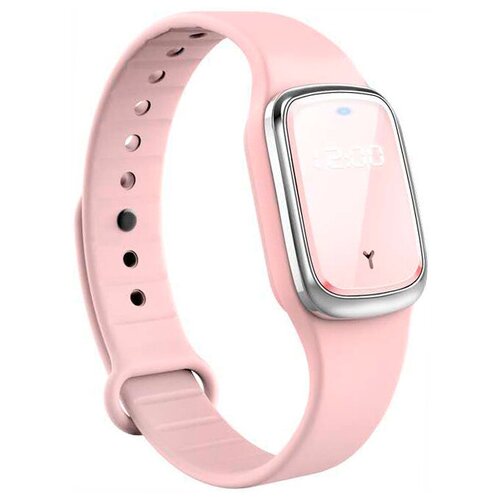 BandRate Smart BRSM2PP 212500₽