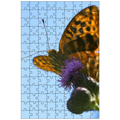 фото Магнитный пазл 27x18см."императорское пальто, argynnis paphia, бабочка" на холодильник lotsprints