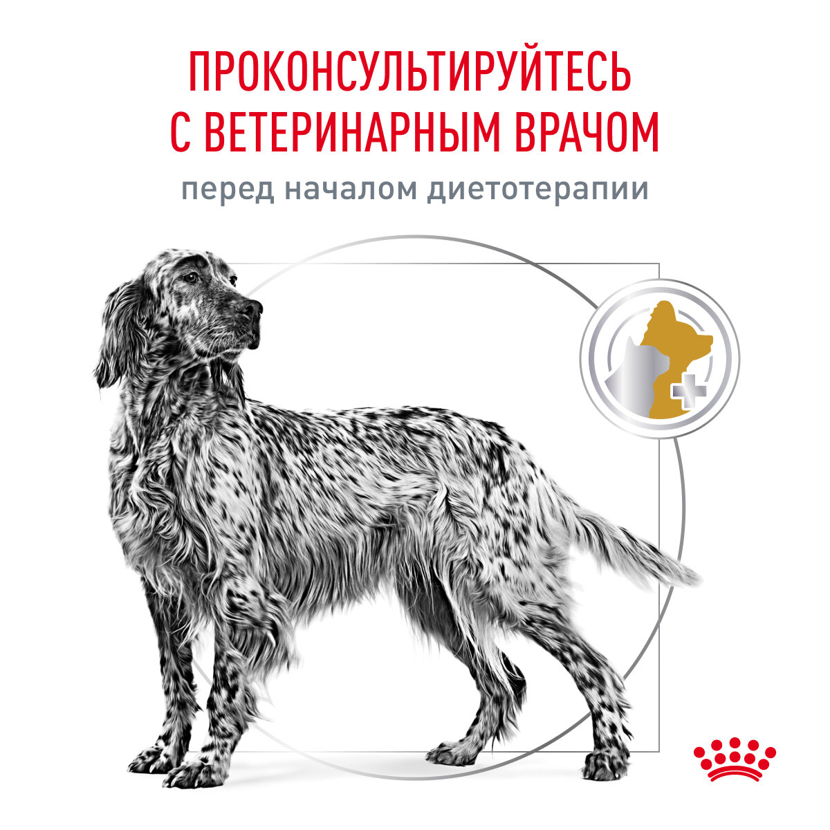 Сухой корм для собак Royal Canin Urinary S/O LP18 при лечении МКБ 13кг - фото №9