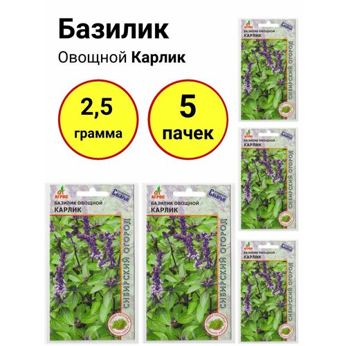 Базилик овощной Карлик 0,5г, Агрос - комплект 5 пачек базилик овощной карлик 0 5г агрос комплект 5 пачек