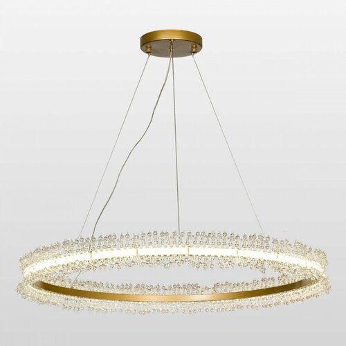 Подвесная светодиодная люстра Lussole Loft Bibb LSP-8655