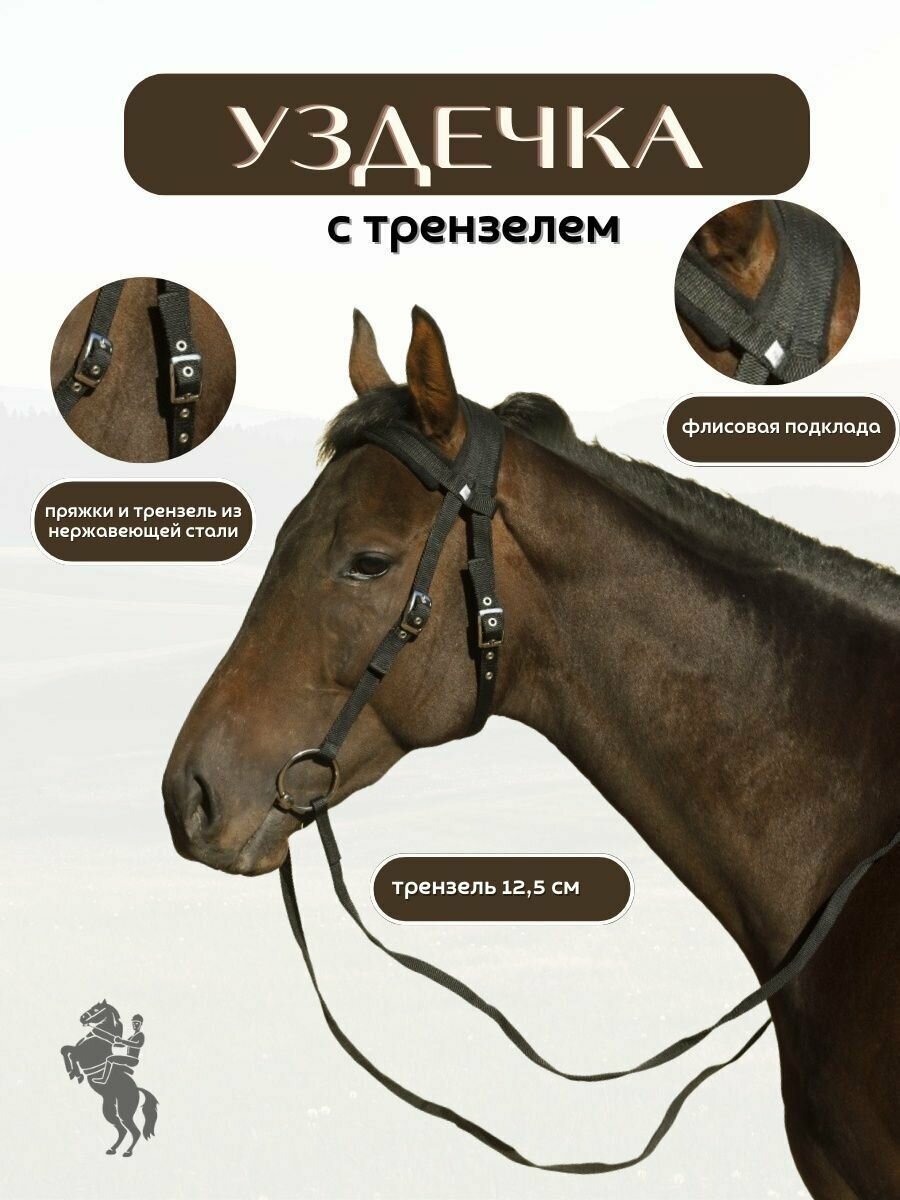 Sweethorse / Уздечка с трензелем и поводом для лошади Full