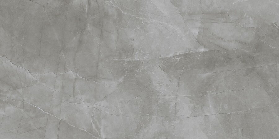 фото N20469 Passion Grafito Soft 60x120