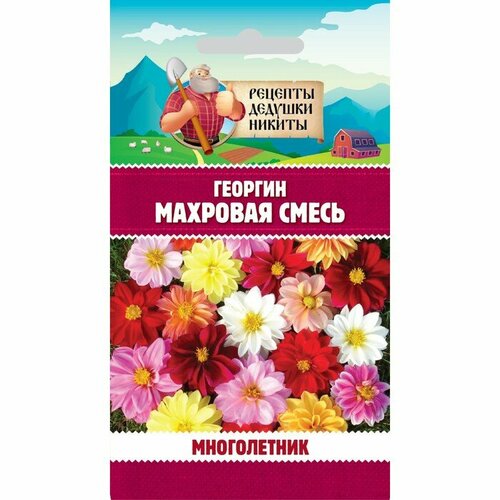 семена георгин однолетних 5шт Семена цветов Георгин Махровая смесь, 0,3 г