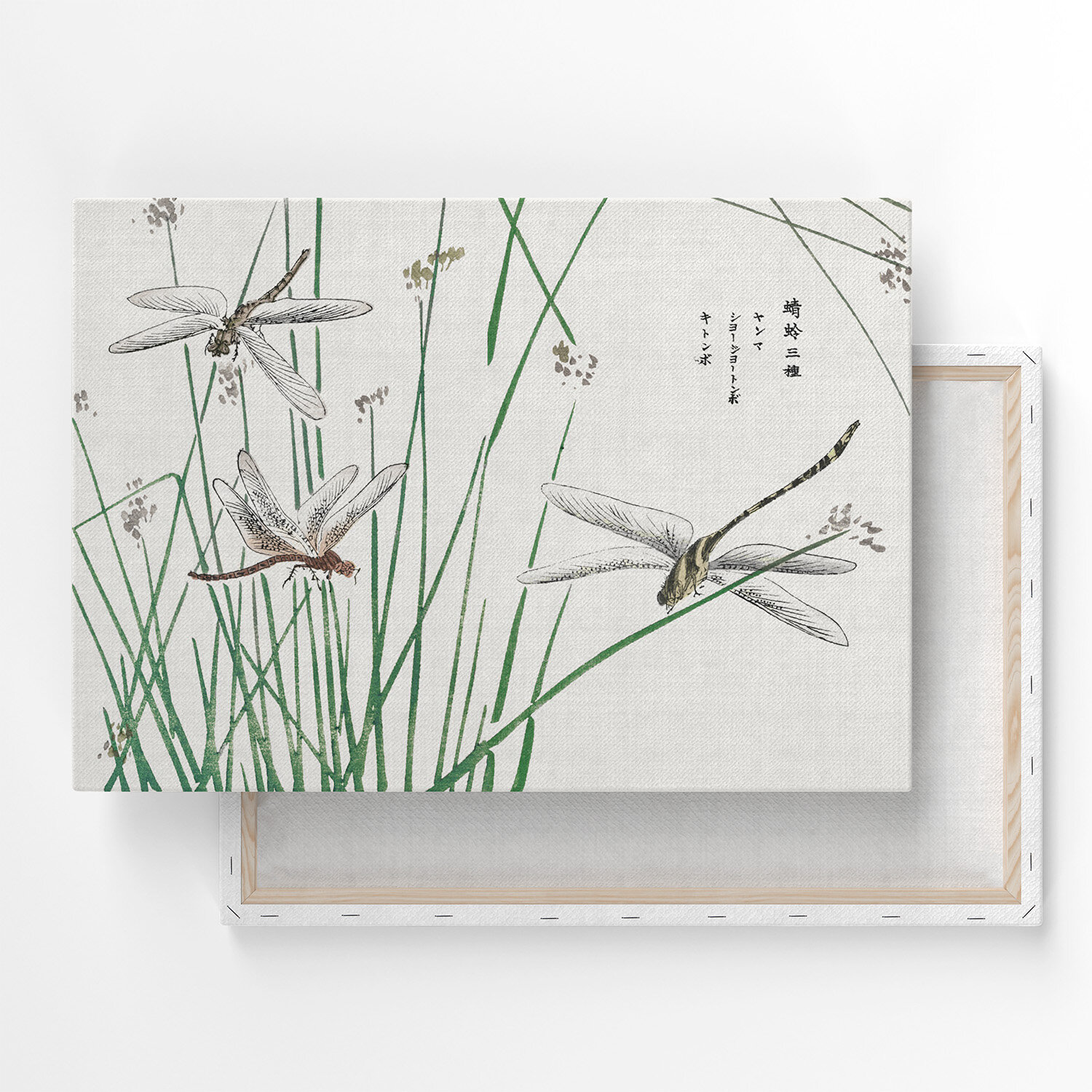 Картина на холсте, репродукция / Моримото Токо - Стрекозы / Размер 40 x 53 см